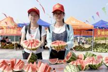 吃瓜爆料广西情侣